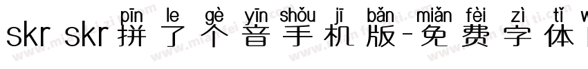 skr skr拼了个音手机版字体转换